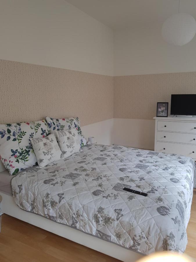 Apartman Deny2 Apartment Decin Luaran gambar